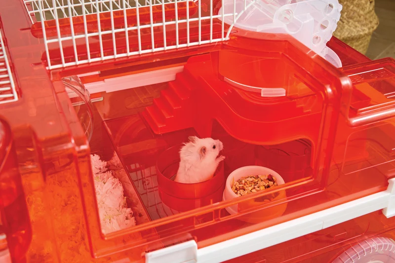 Hamitruck Hamster toy