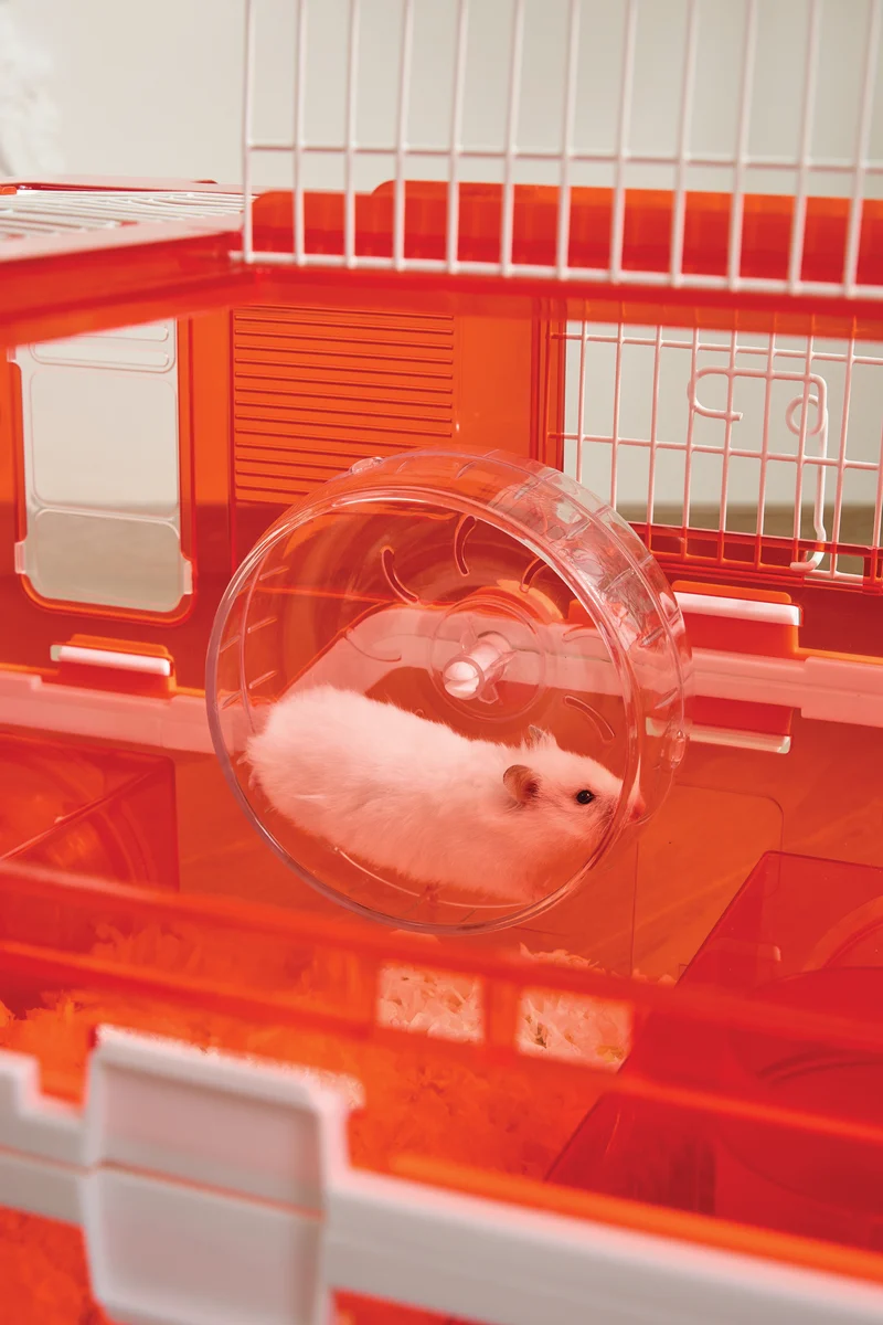 Hamitruck Hamster toy