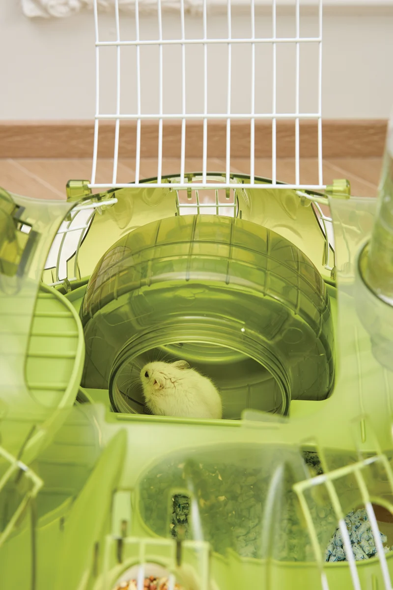 Hamisaurus Hamster toy