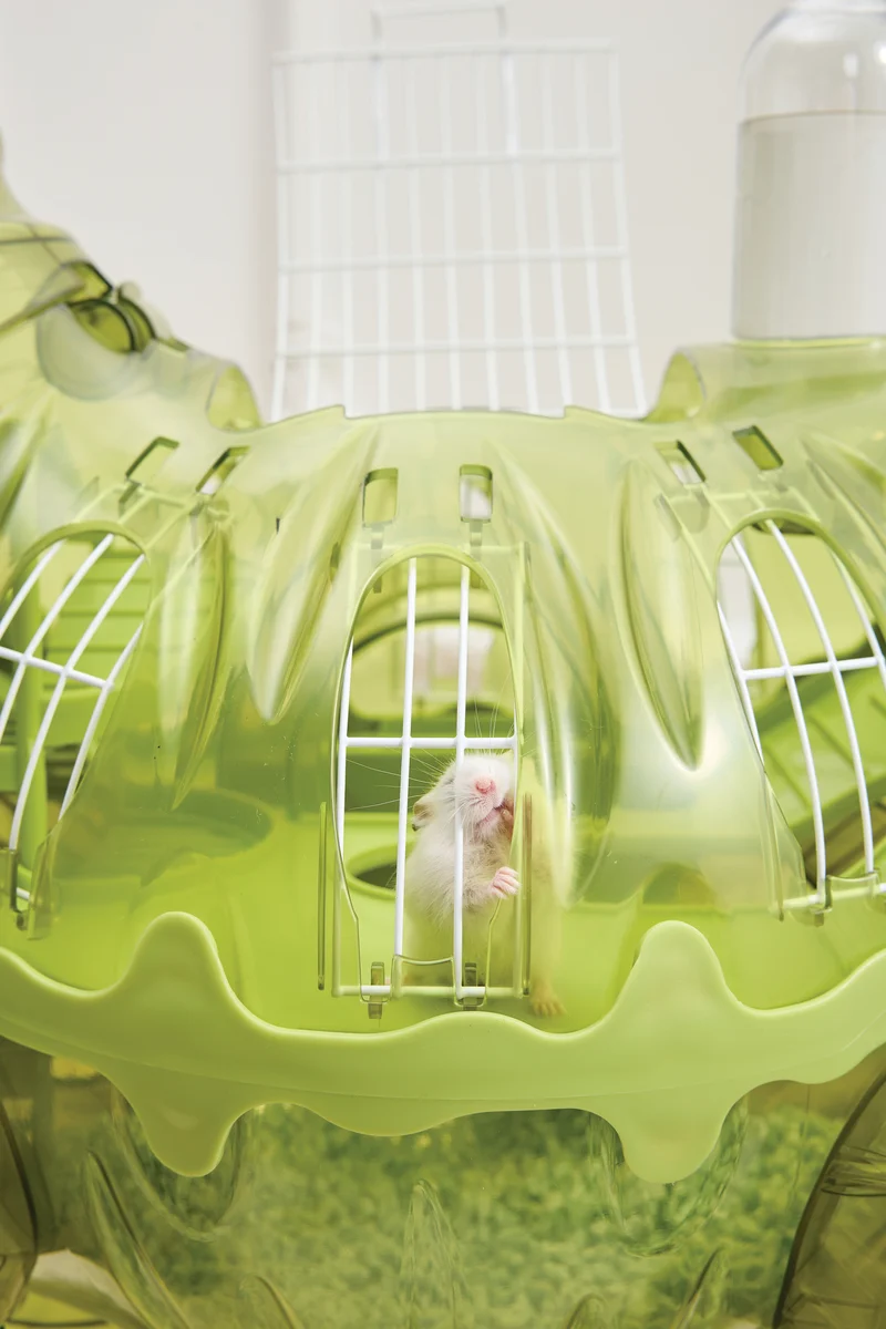 Hamisaurus Hamster toy