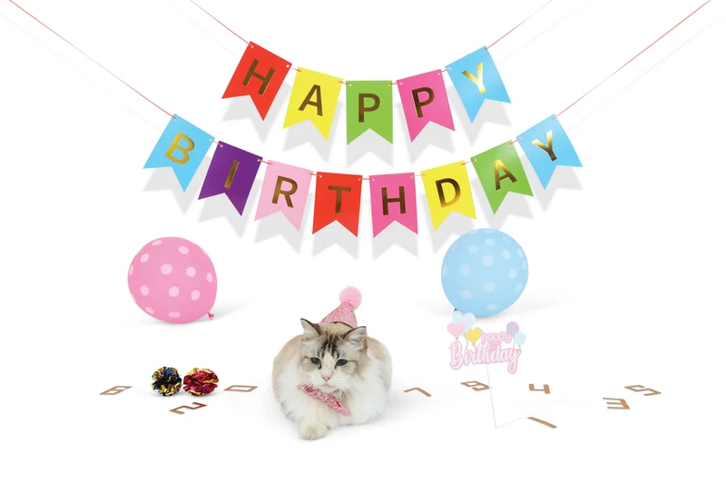 PARTY TIME Cat Lady's set