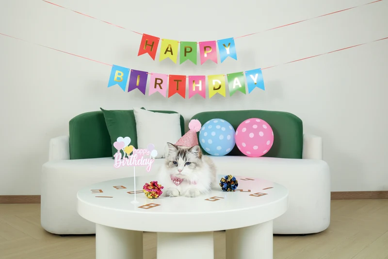 PARTY TIME Cat Lady's set