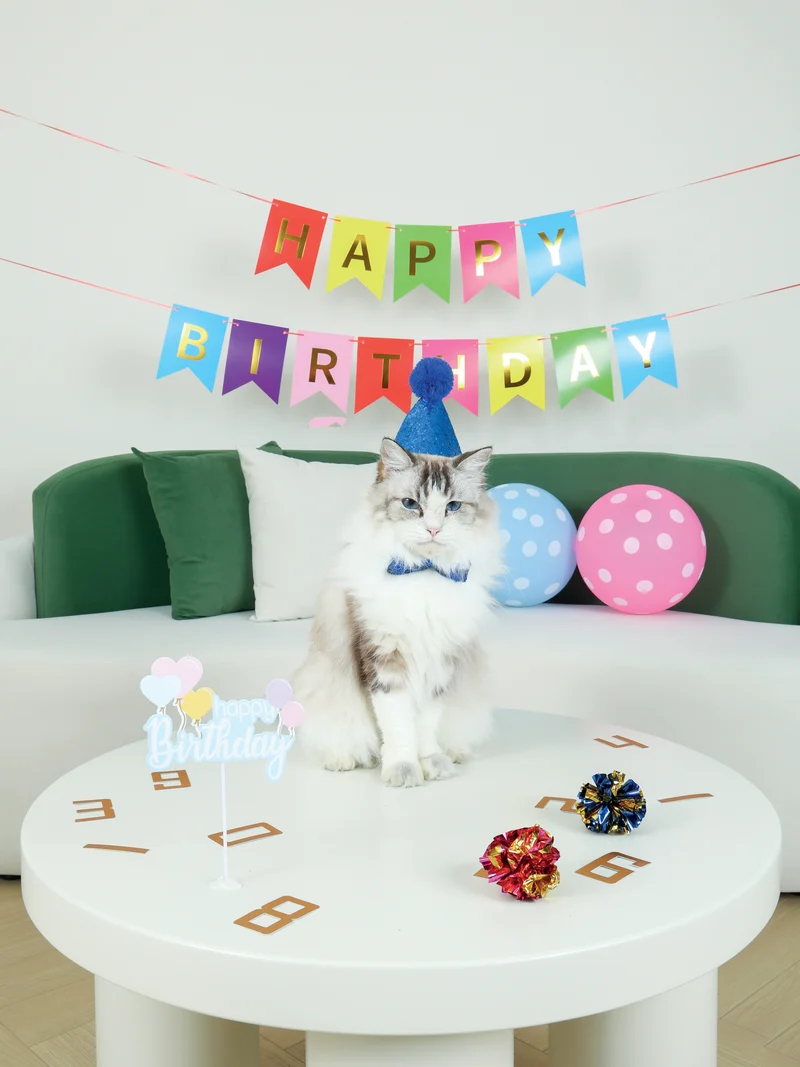 PARTY TIME Cat Gentleman's set