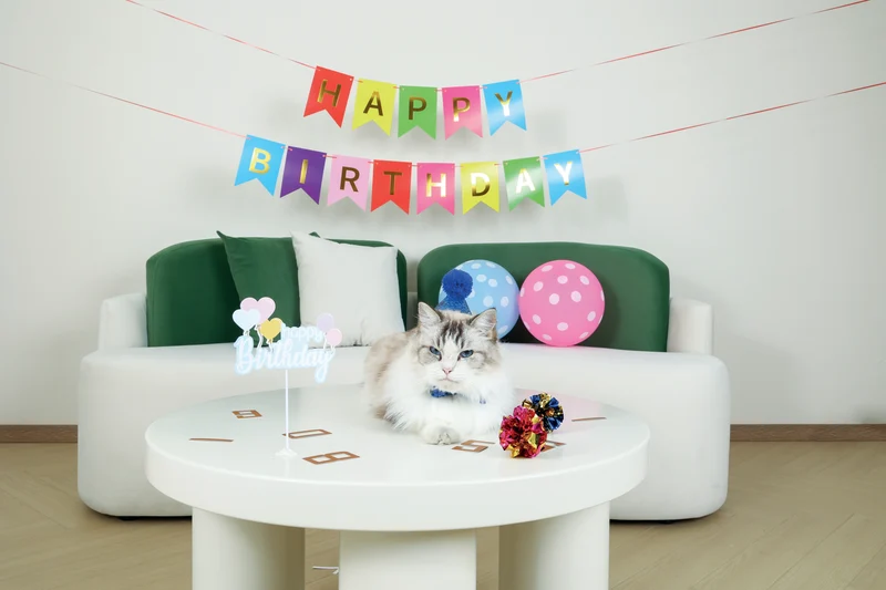 PARTY TIME Cat Gentleman's set