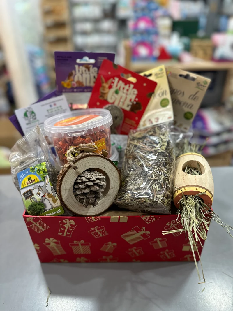 New Mascota Caja Regalo para Conejos — Productos Premium Seleccionados