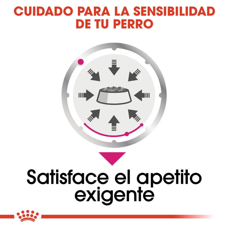 Royal Canin Exigent Care Paté 85 g Alimento Húmedo para Perros