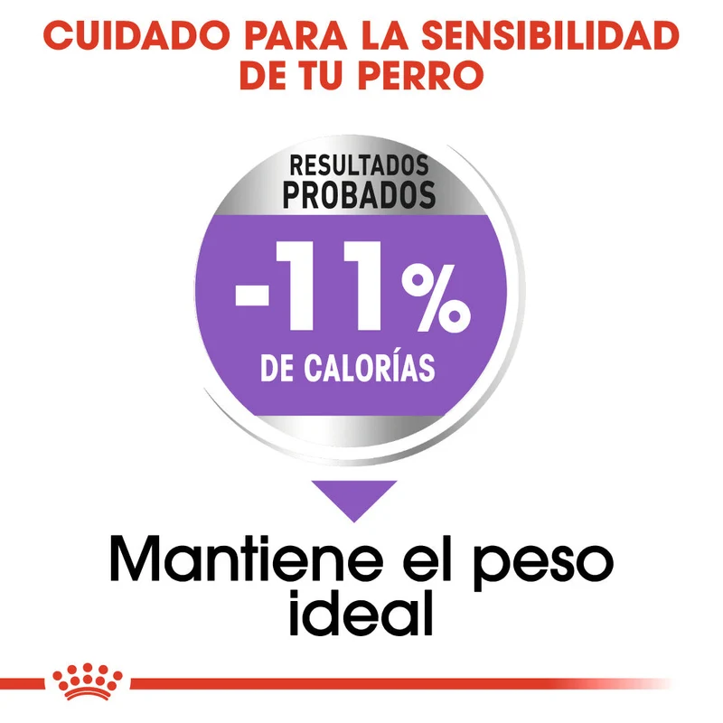 Royal Canin X-Small Adult Sterilized Care Pienso para Perros Esterilizados