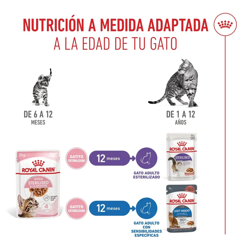 Royal Canin Kitten Sterilized en Salsa 85 g Comida Húmeda para Gatitos