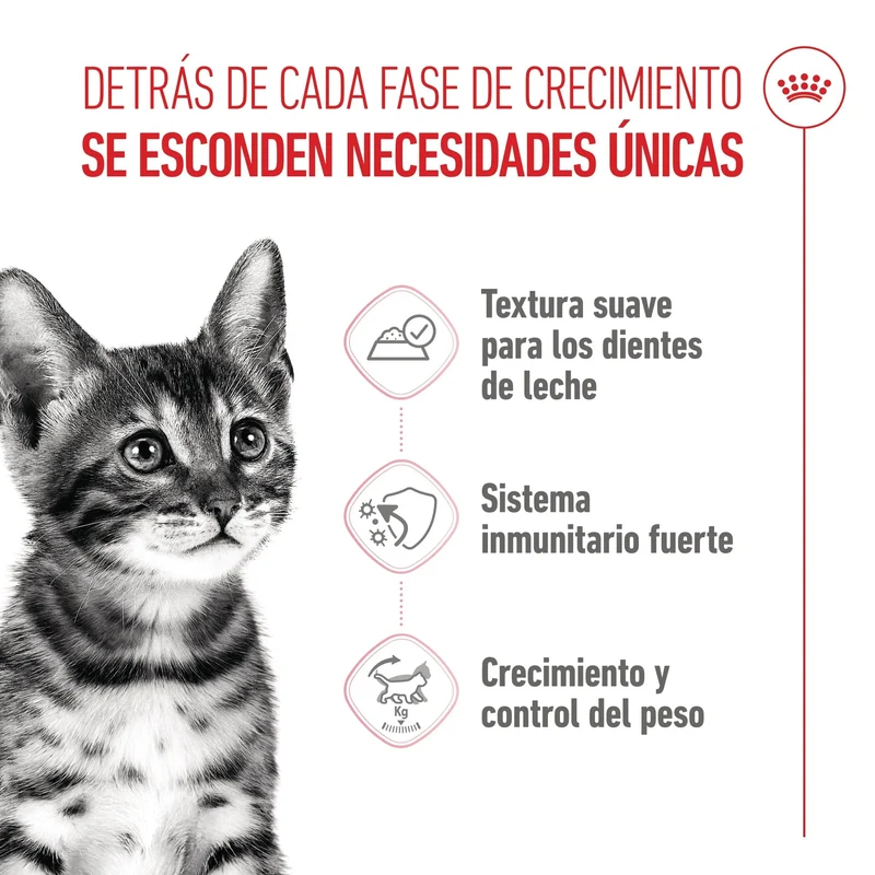 Royal Canin Kitten Sterilized en Salsa 85 g Comida Húmeda para Gatitos