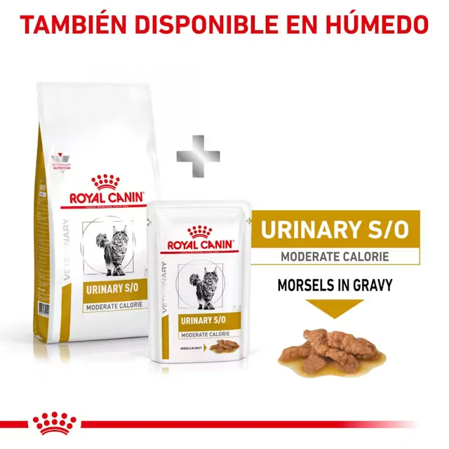 Royal Canin Veterinary Urinary S/O Moderate Calorie Sobre 85 g Sobre Alimento Húmedo para Gatos