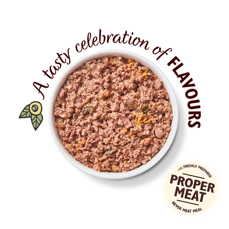 Lily's Kitchen Carnival Chicken Canned Dog Wet Food
