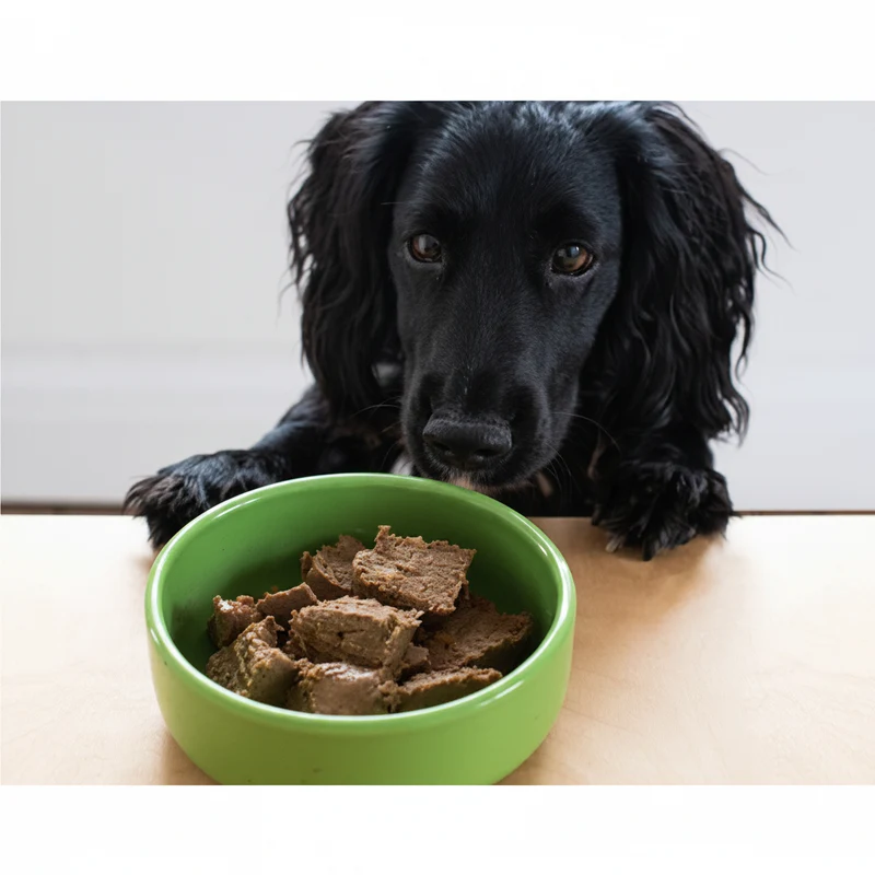 Yora Pet Foods Nutritious Insects With Carrot & Potato Adult Wet Dog Food