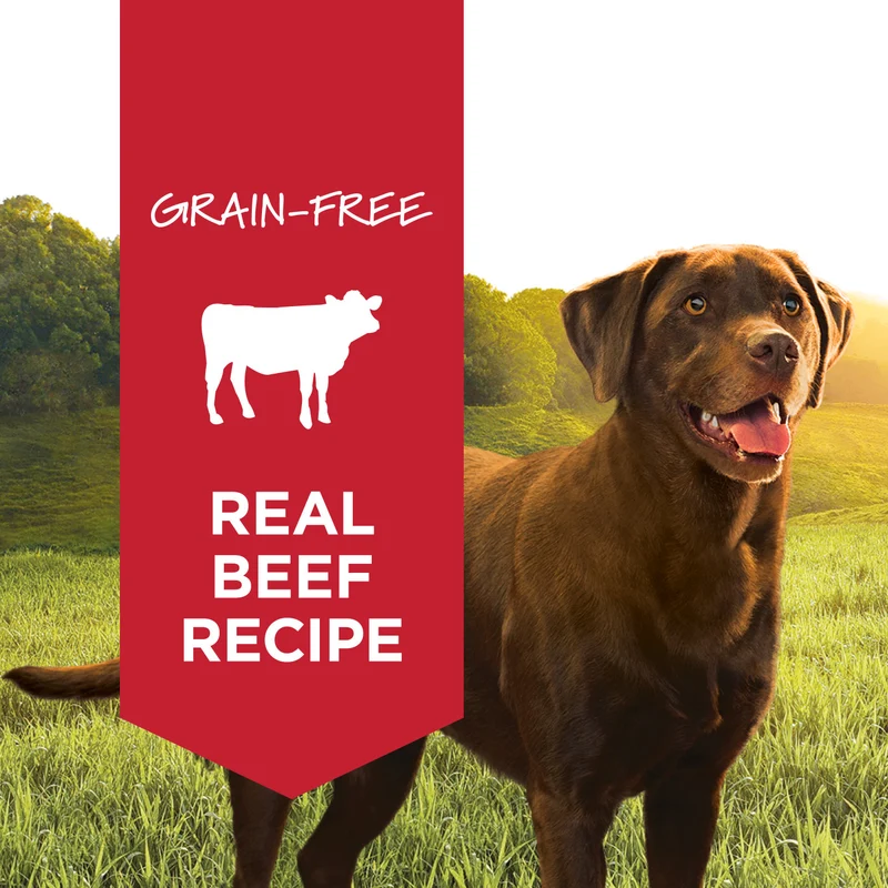 Instinct Grain-Free Original Real Beef Recipe Wet Dog Food