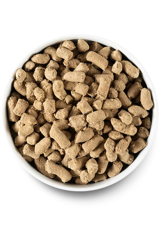 Open Farm Freeze Dried Grass Fed Beef Recipe Dry Dog Food 99G