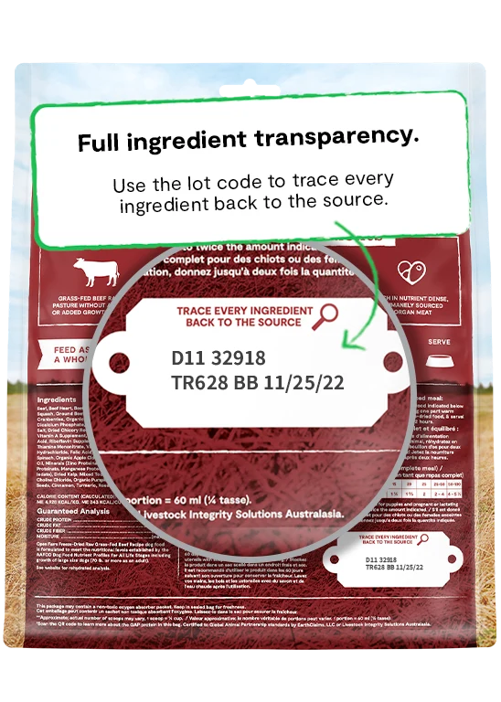 Open Farm Freeze Dried Grass Fed Beef Recipe Dry Dog Food 99G