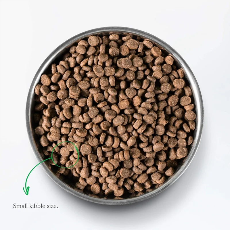 Open Farm Grain Free Wild Caught Salmon Dry Cat Food