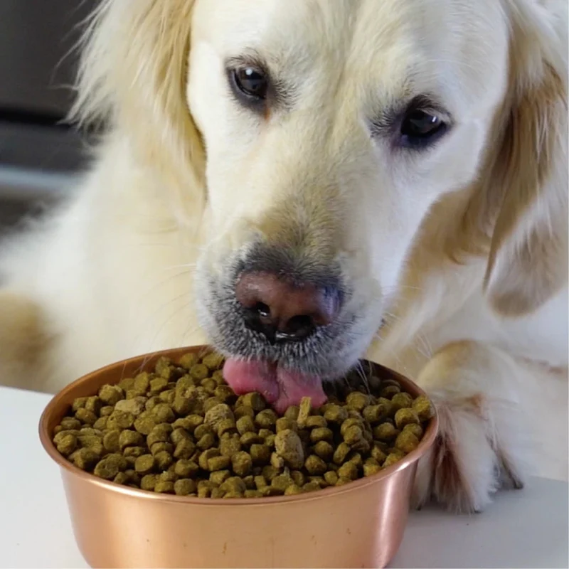 Open Farm Grain Free Homestead Turkey & Chicken Dry Dog Food