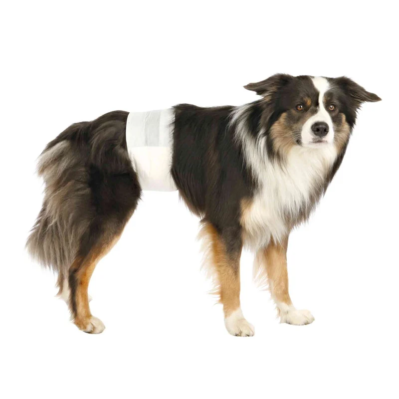 Trixie Diapers for Male Dogs 12pcs