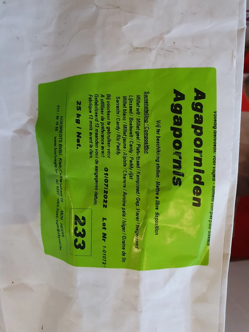 Agapornis 5kg