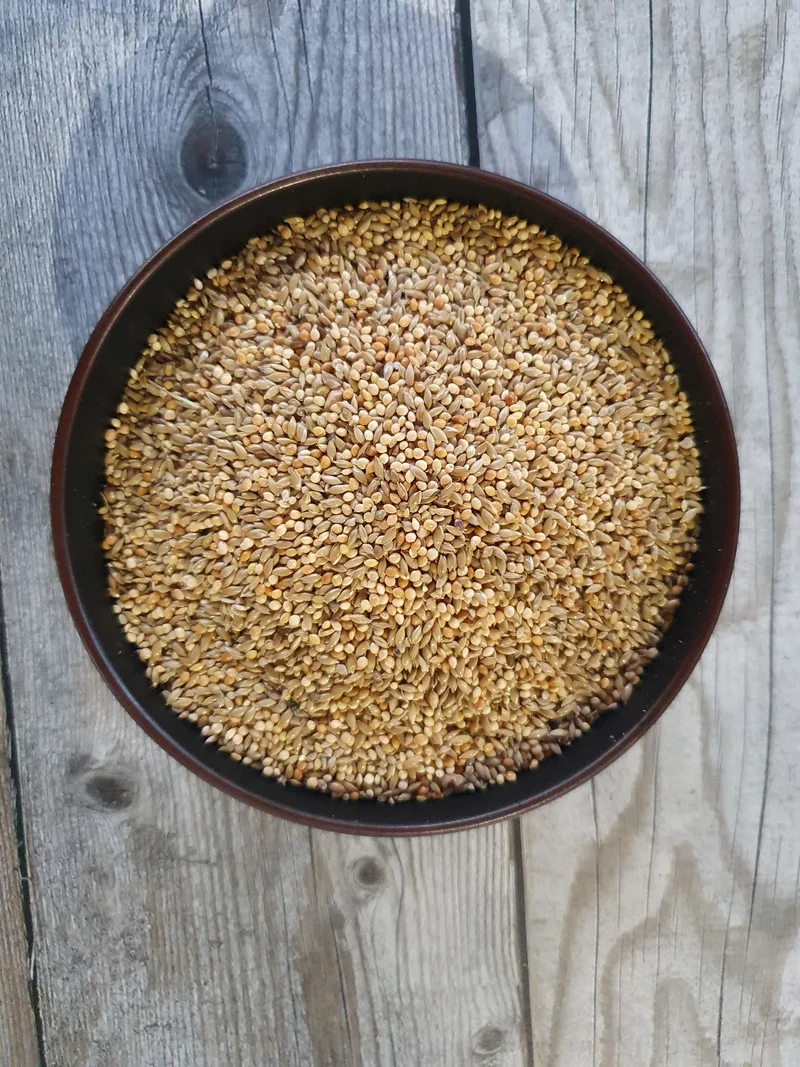 Exóticos Michotte Goulds 5 kg (empaquetado usted mismo)
