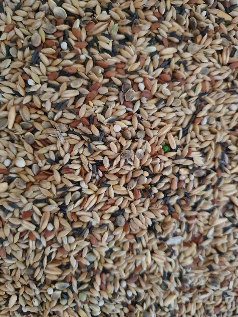Canary Supreme con Perilla Blanca - Bolsa de 20 kg - Comida para pájaros