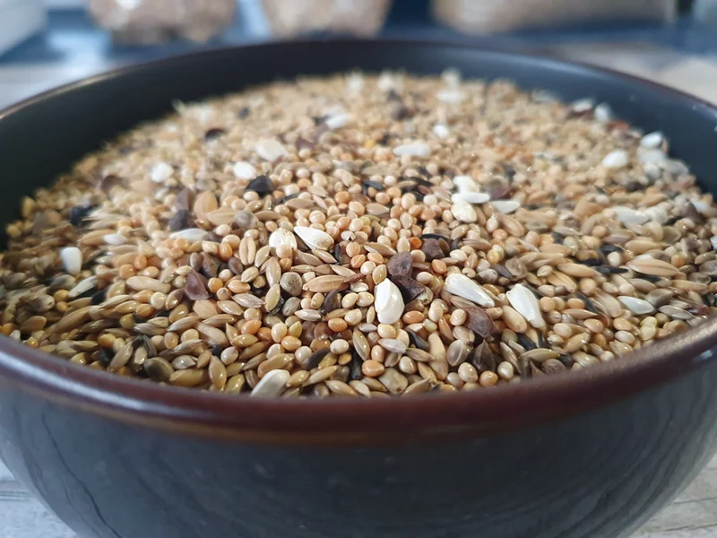 Mezcla de agapornis 25kg