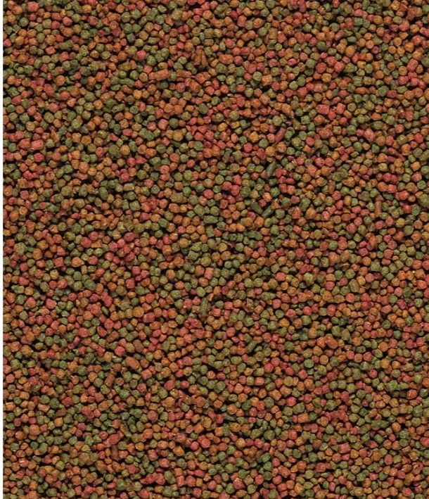 Alimento de mantenimiento para canarios Nutribird C15 1 kg (sustituto de Perle Morbid) - Comida para pájaros