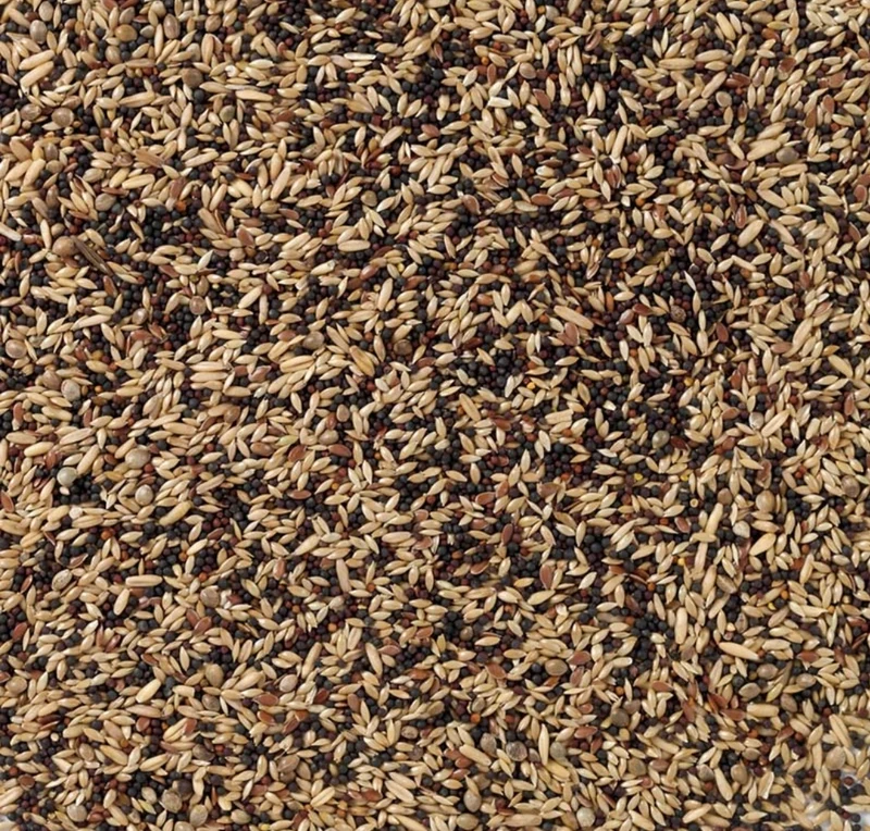 Alimento para pájaros Canary Standard - 5 kg sin moler