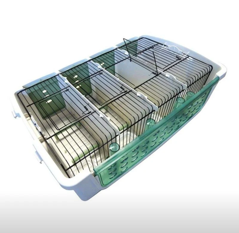 Caja de Transporte de Plástico Safari (4 piezas con tapa)