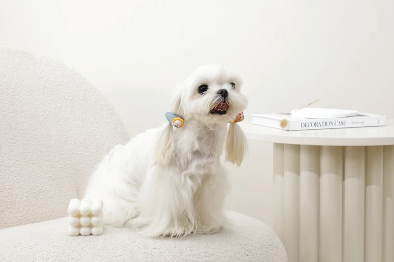 GLAM Hair Accessories for pets clip - Yellow