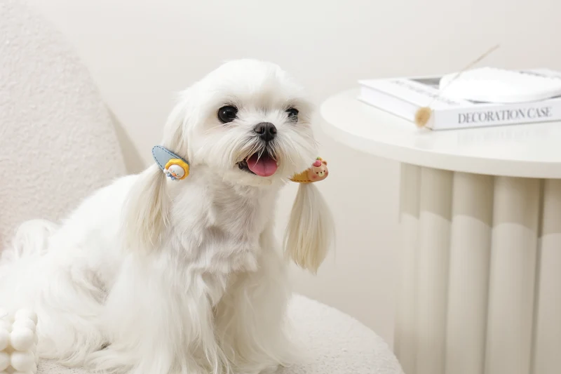 GLAM Hair Accessories for pets clip - Yellow