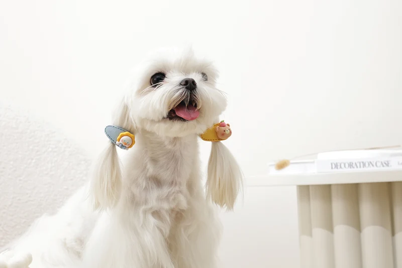 GLAM Hair Accessories for pets clip - Yellow