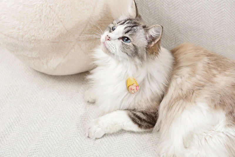GLAM Hair Accessories for pets clip - Yellow