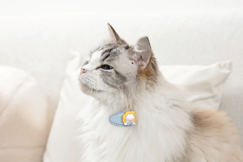 GLAM Hair Accessories for pets clip - Yellow
