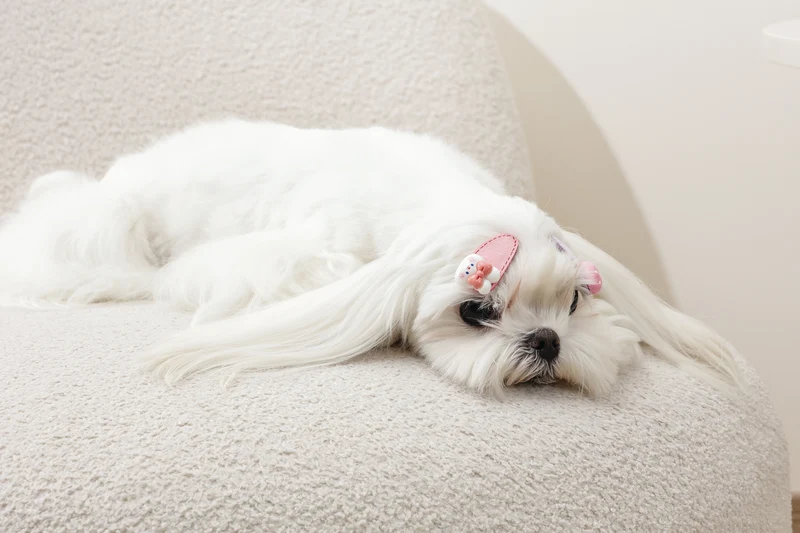 GLAM Hair Accessories for pets clip - Pink