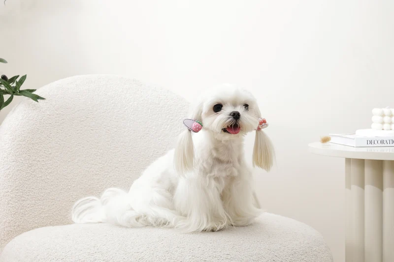 GLAM Hair Accessories for pets clip - Pink