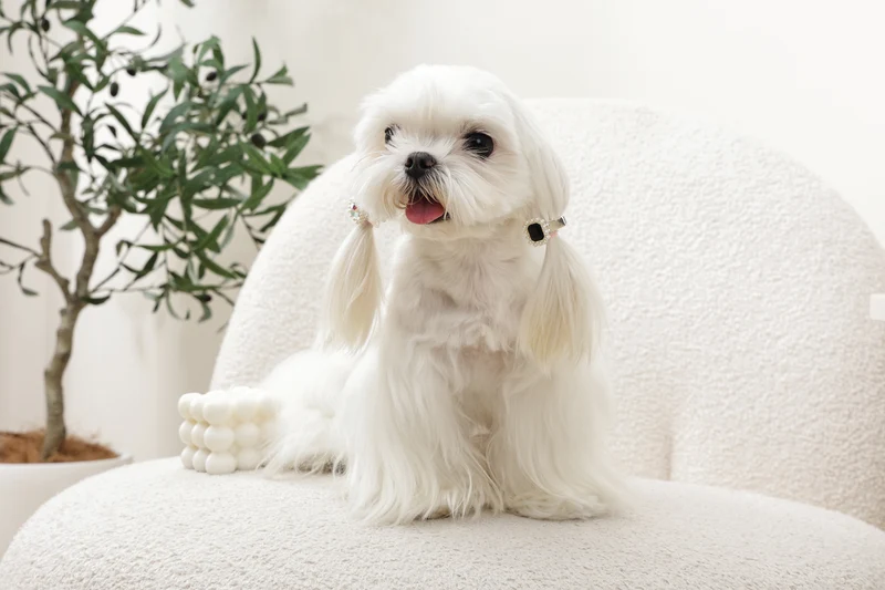 GLAM Hair Accessories for pets diamond shape clip - Black & Silver