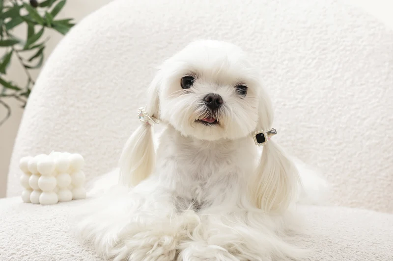 GLAM Hair Accessories for pets diamond shape clip - Black & Silver