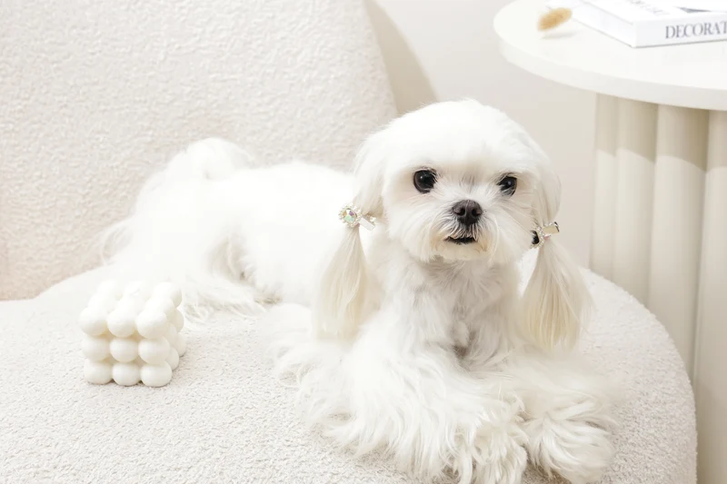 GLAM Hair Accessories for pets diamond shape clip - Black & Silver