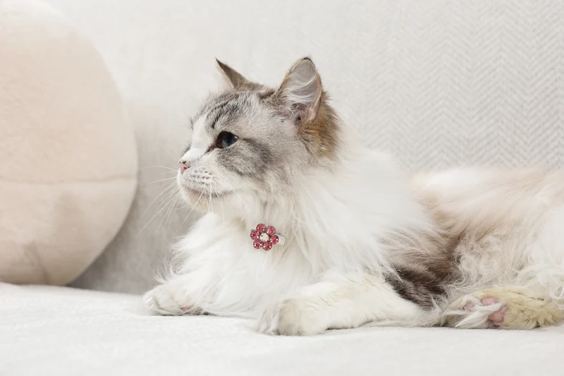 GLAM Hair Accessories for pets flower shape clip - Pink & White