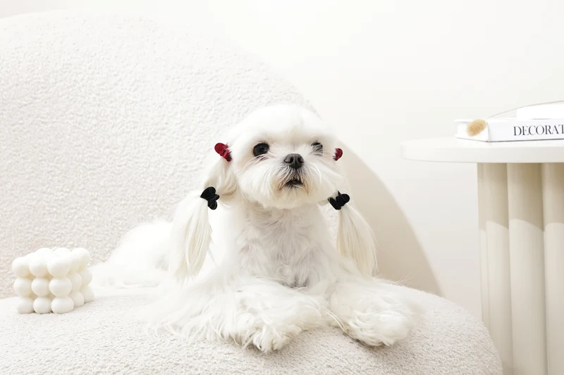 GLAM Hair Accessories for pets heart shape clip - Black & Red