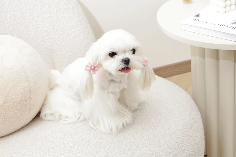 GLAM Hair Accessories for pets rubber band with pearl - Pink