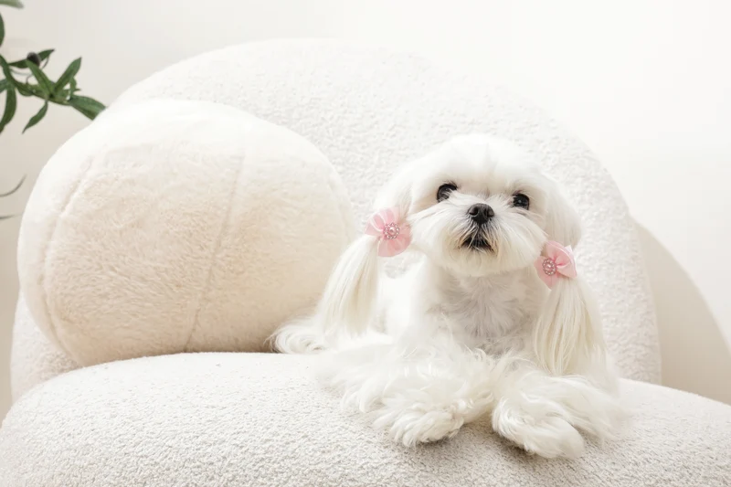 GLAM Hair Accessories for pets rubber band with pearl - Pink