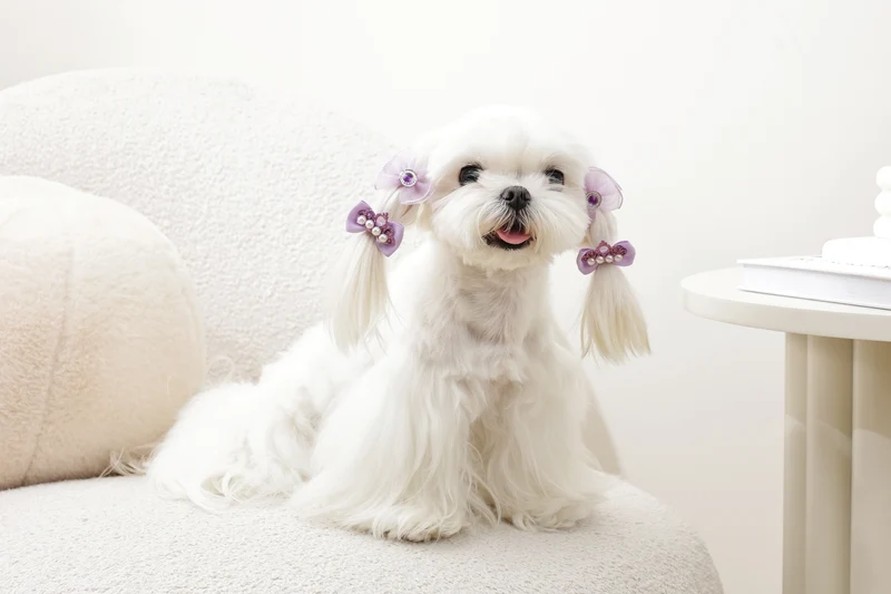 GLAM Hair Accessories for pets rubber band - Purple