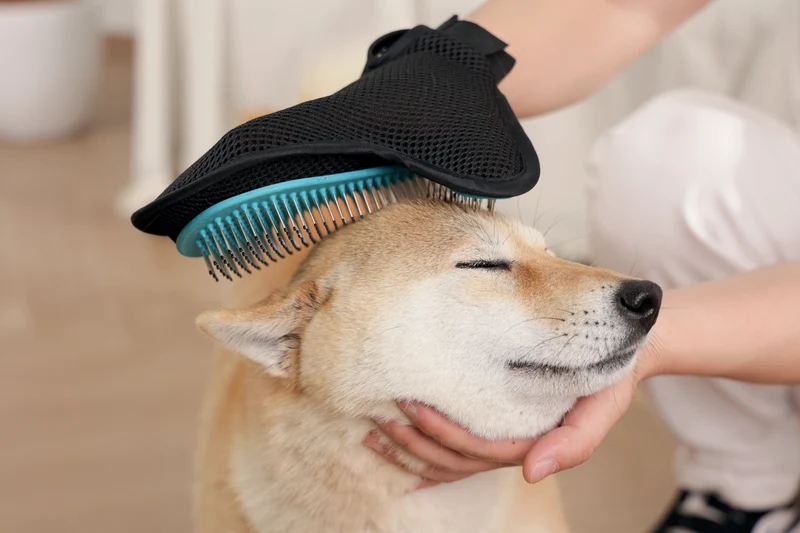 HAIRDO Grooming glove comb