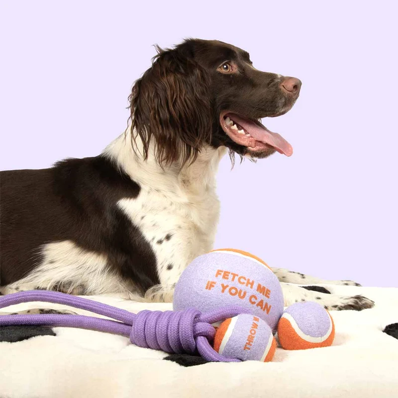 Ebi Coockoo Throw Me Ball With Rope Loop Dog Fetch Toy - Purple/6x45x6cm