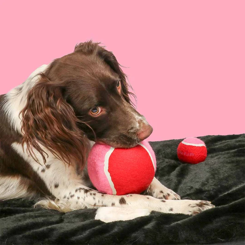 Ebi Coockoo Chase Me XL Tennis Ball - Dog Catch & Fetch Toy - Pink/12.7cm