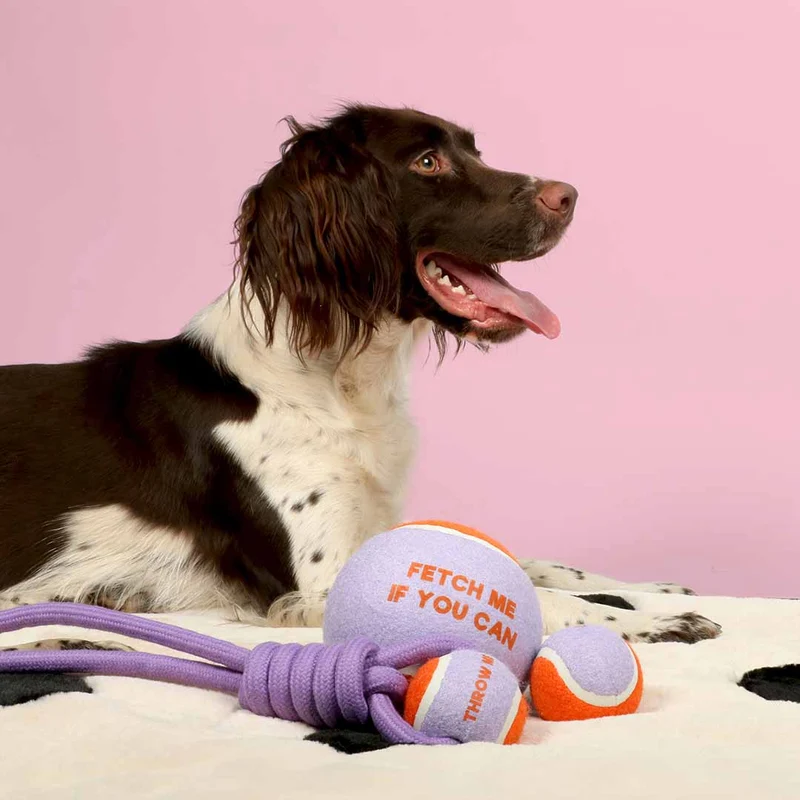 Ebi Coockoo Fetch Me XL Tennis Ball - Dog Catch & Fetch Toy - Purple/12.7cm