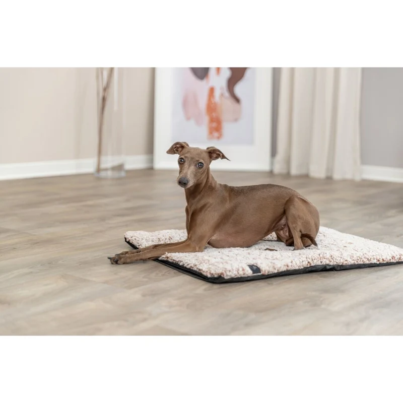 Trixie Calida Lying Mat with Heat Reflecting Inlay for Dogs - CREAM/100X65CM
