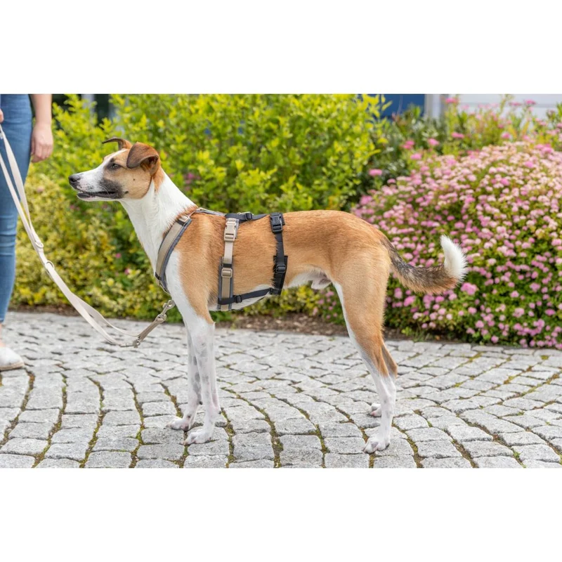 Trixie Panic Adapter Stay for Dog Harnesses - BLACK/L-XL